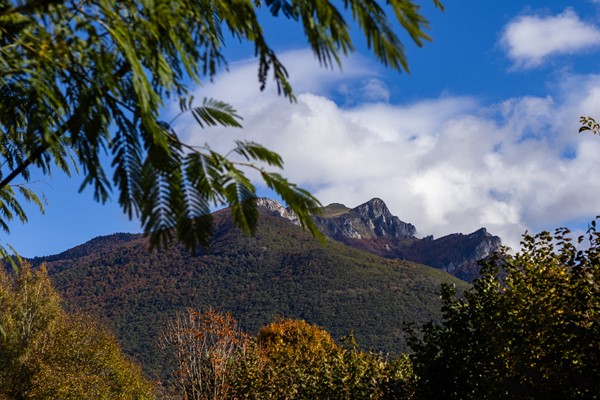An image labelled Family (2 Dbl) Two bedroom Apartment