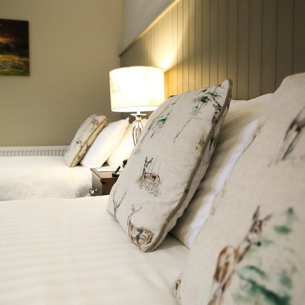 An image labelled 1 Night Dinner, B&B